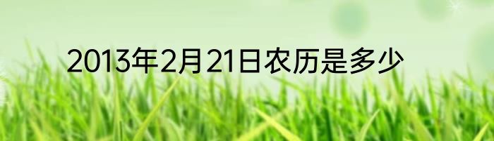 2013年2月21日农历是多少