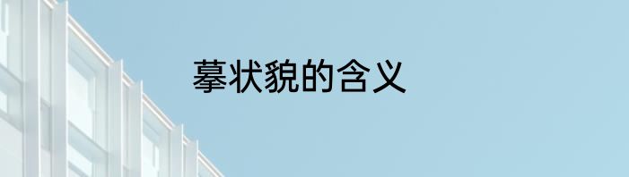 摹状貌的含义