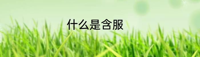 什么是含服