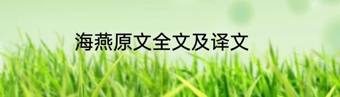 海燕原文全文及译文