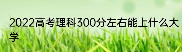 2022高考理科300分左右能上什么大学