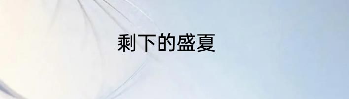 剩下的盛夏