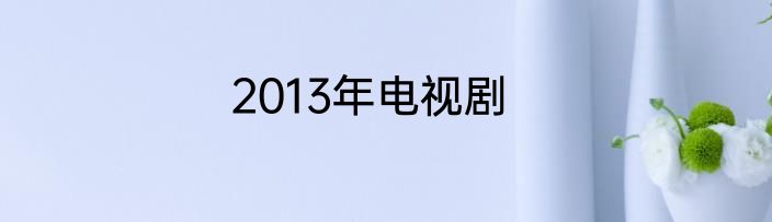 2013年电视剧