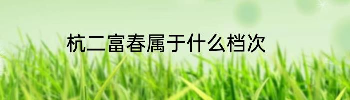 杭二富春属于什么档次