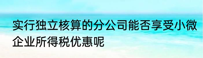 实行独立核算的分公司能否享受小微企业所得税优惠呢