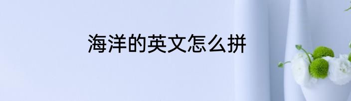 海洋的英文怎么拼