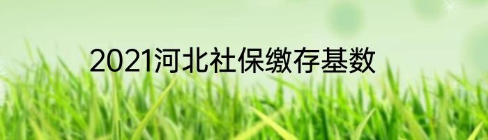 2021河北社保缴存基数