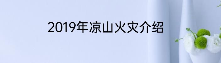2019年凉山火灾介绍