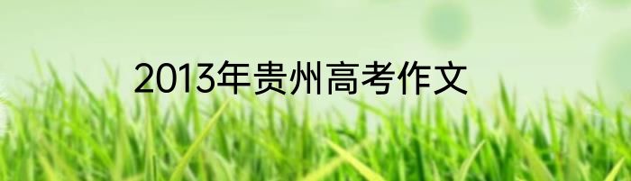 2013年贵州高考作文