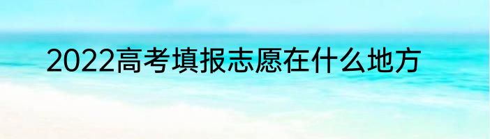 2022高考填报志愿在什么地方