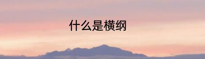 什么是横纲