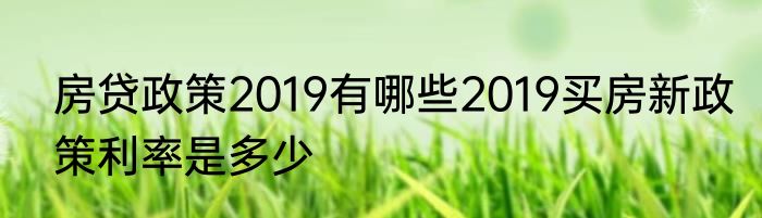 房贷政策2019有哪些2019买房新政策利率是多少