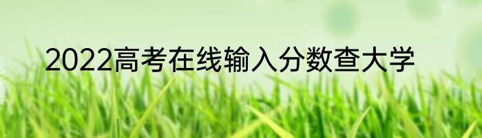2022高考在线输入分数查大学