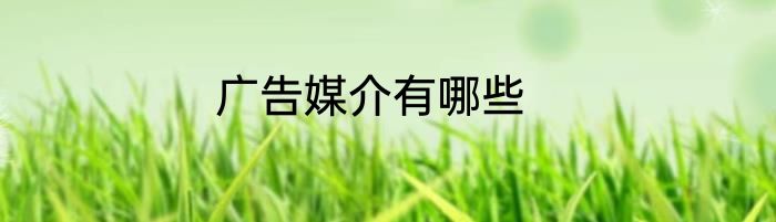 广告媒介有哪些