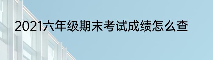 2021六年级期末考试成绩怎么查