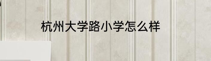 杭州大学路小学怎么样