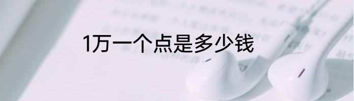 1万一个点是多少钱