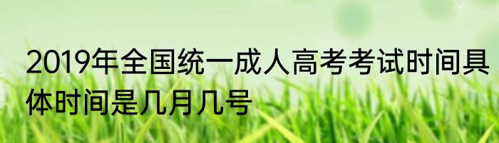 2019年全国统一成人高考考试时间具体时间是几月几号