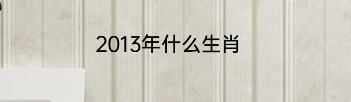 2013年什么生肖