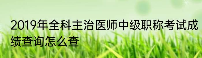 2019年全科主治医师中级职称考试成绩查询怎么查