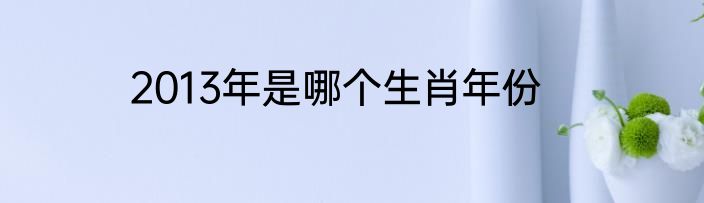 2013年是哪个生肖年份