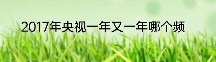 2017年央视一年又一年哪个频