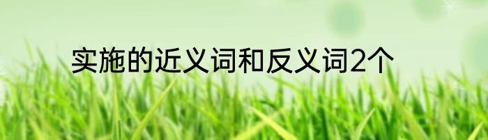 实施的近义词和反义词2个