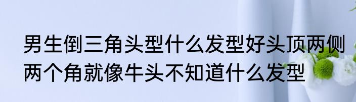 男生倒三角头型什么发型好头顶两侧两个角就像牛头不知道什么发型