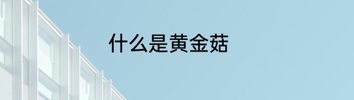什么是黄金菇