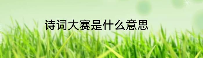 诗词大赛是什么意思