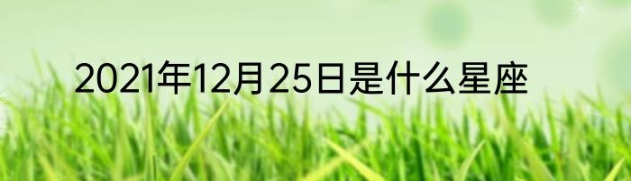 2021年12月25日是什么星座