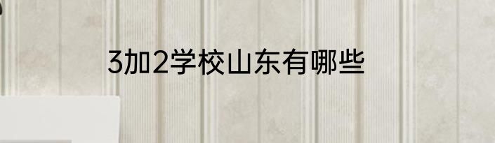 3加2学校山东有哪些
