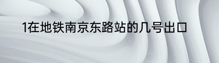 1在地铁南京东路站的几号出口