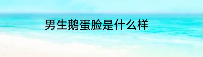 男生鹅蛋脸是什么样