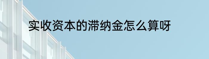 实收资本的滞纳金怎么算呀