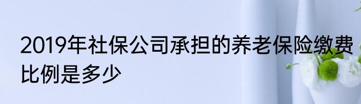 2019年社保公司承担的养老保险缴费比例是多少