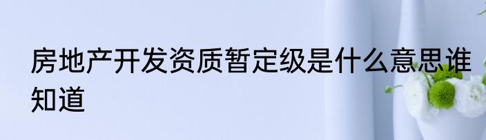 房地产开发资质暂定级是什么意思谁知道
