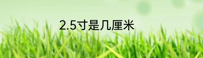 2.5寸是几厘米