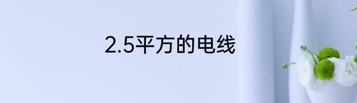 2.5平方的电线