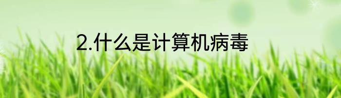 2.什么是计算机病毒