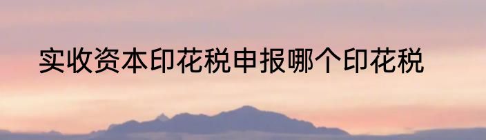 实收资本印花税申报哪个印花税
