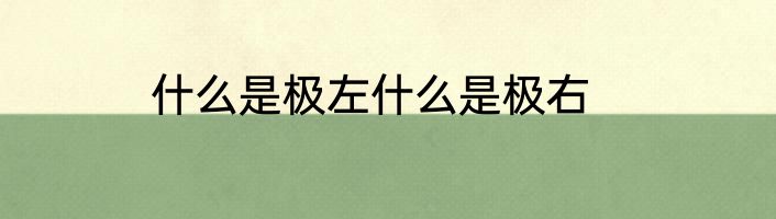 什么是极左什么是极右
