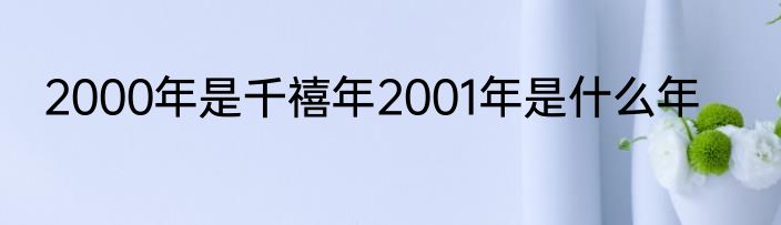 2000年是千禧年2001年是什么年