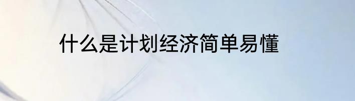 什么是计划经济简单易懂