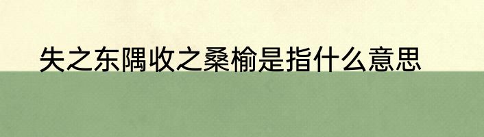 失之东隅收之桑榆是指什么意思