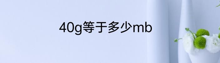 40g等于多少mb