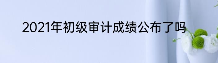 2021年初级审计成绩公布了吗