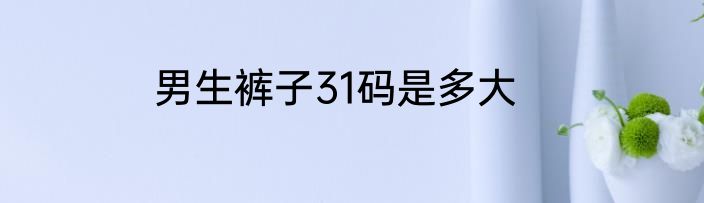 男生裤子31码是多大