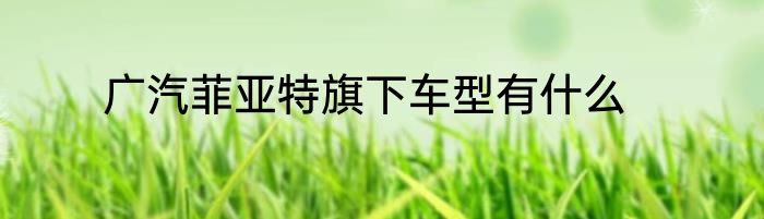 广汽菲亚特旗下车型有什么