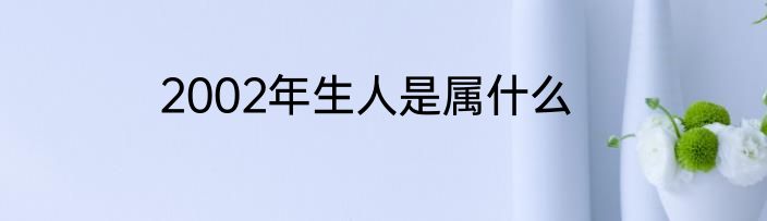 2002年生人是属什么